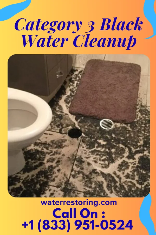 Category 3 Black Water Cleanup in Salem, NJ