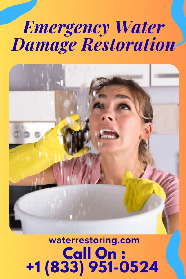 Emergency Water Damage Restoration in Salem, NJ