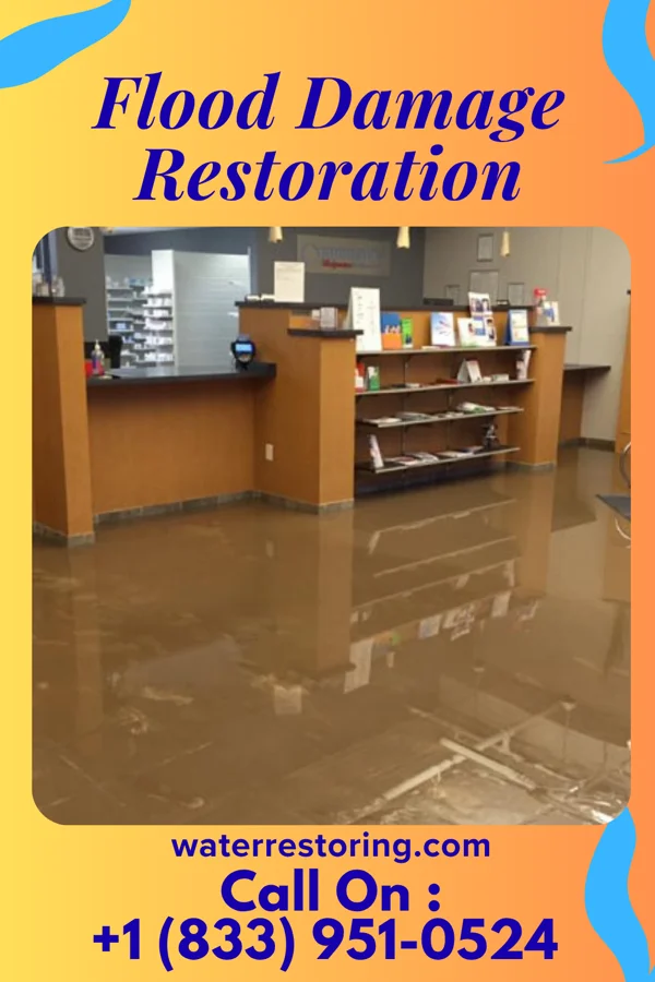 Flood Damage Restoration in Salem, NJ