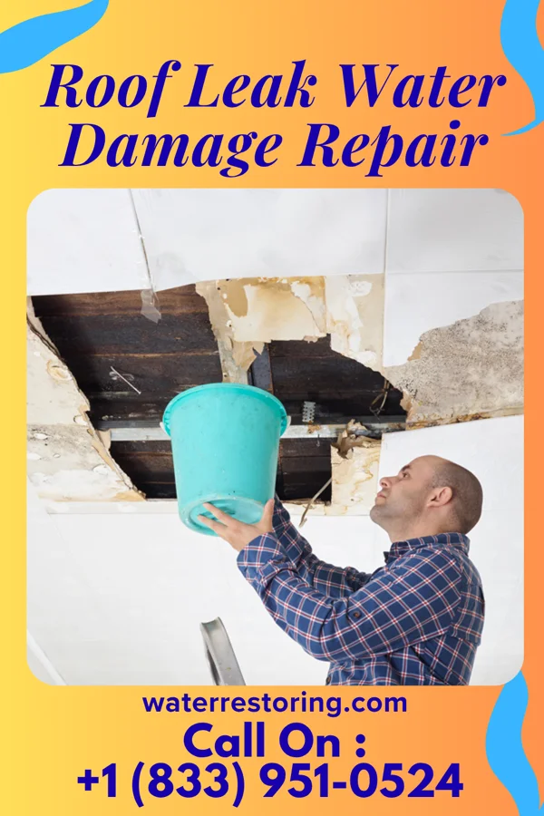 Roof Leak Water Damage Repair in Salem, NJ