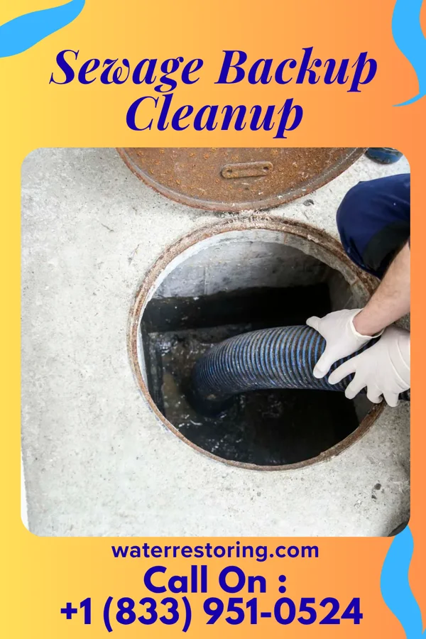 Sewage Backup Cleanup in Salem, NJ