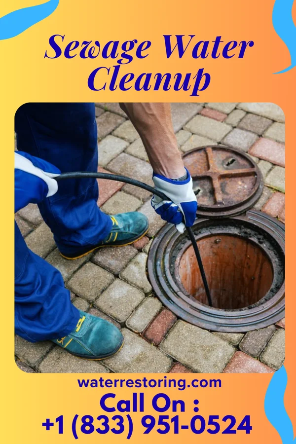 Sewage Water Cleanup in Salem, NJ