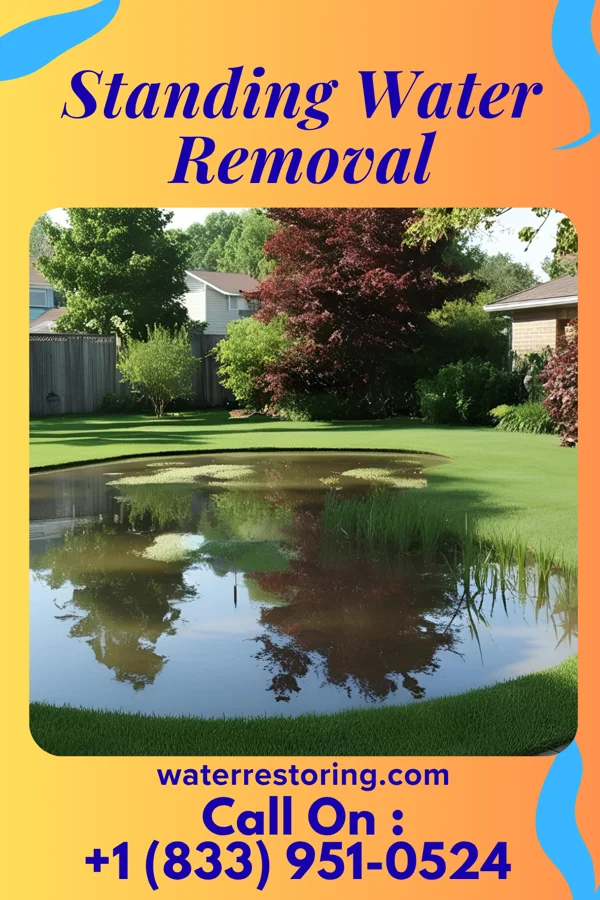 Standing Water Removal in Salem, NJ